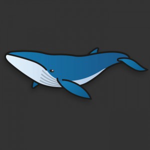 Illustration d’une baleine